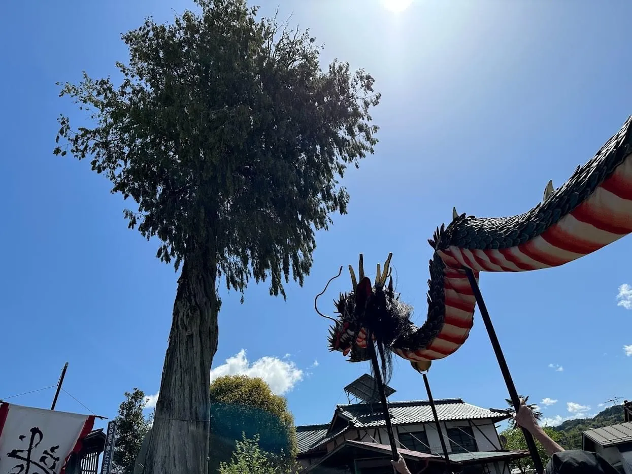 りんごの収穫、共創の手仕事